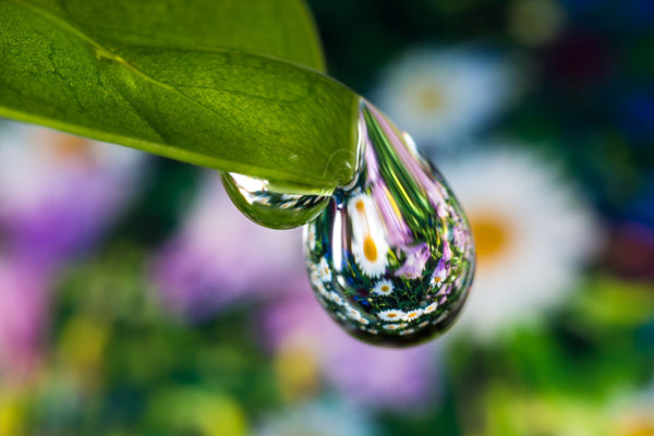 Dry vs. Dehydrated Skin: How to Tell the Difference and Care for Each