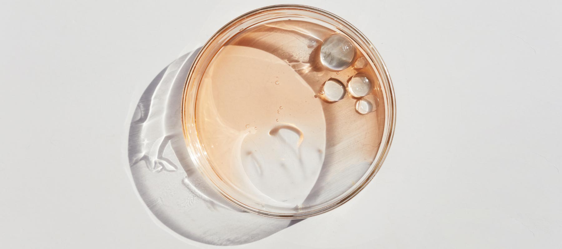 Artificial Preservatives in Skincare: Why They Are Not Worth the Risk | FEY Cosmetics | Agents de conservation artificiels dans les soins de la peau: Pourquoi ne valent-ils pas le risque encouru ?