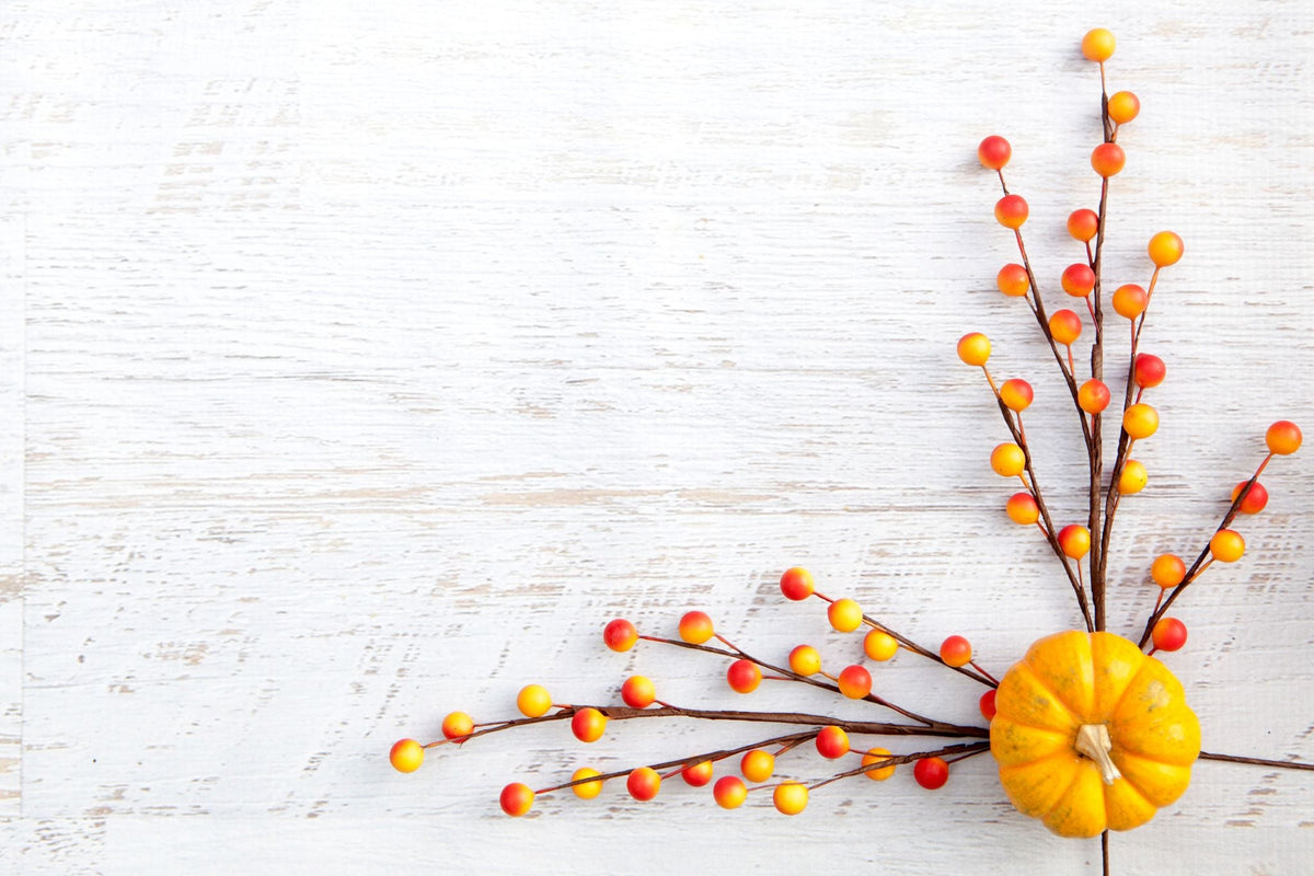 Thanksgiving Special - FEY Cosmetics - promo Action de Grâce