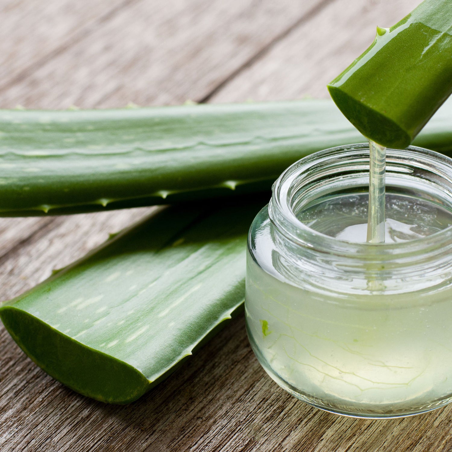 Aloe Vera - Ingredient FEY Cosmetics