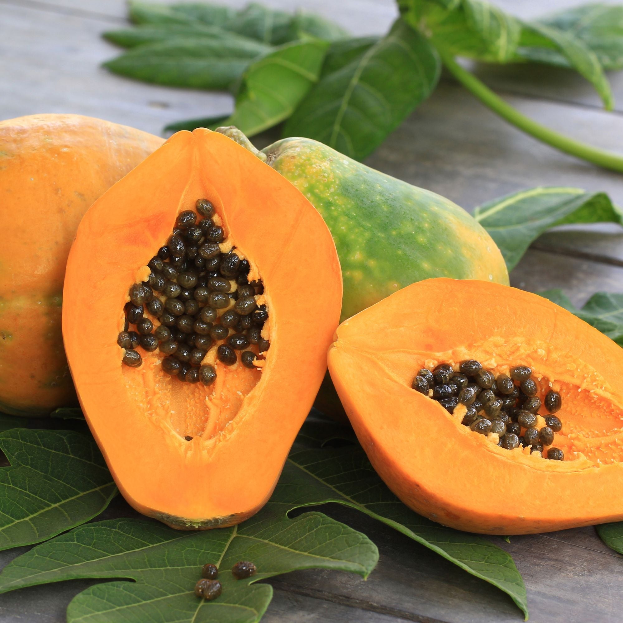 Papaya - Fruit de Papaye - Ingredient FEY Cosmetics