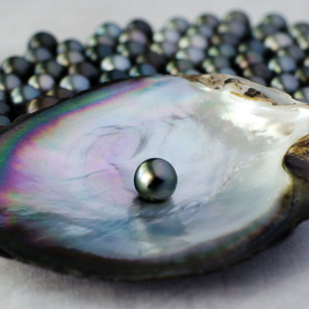 Tahitian Black Pearl - Perle noire de Tahiti - Ingredient - FEY Cosmetics