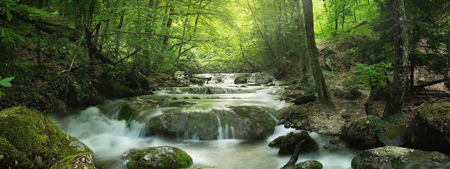 FEY Cosmetics - Earth's Best Organic and Natural Ingredients