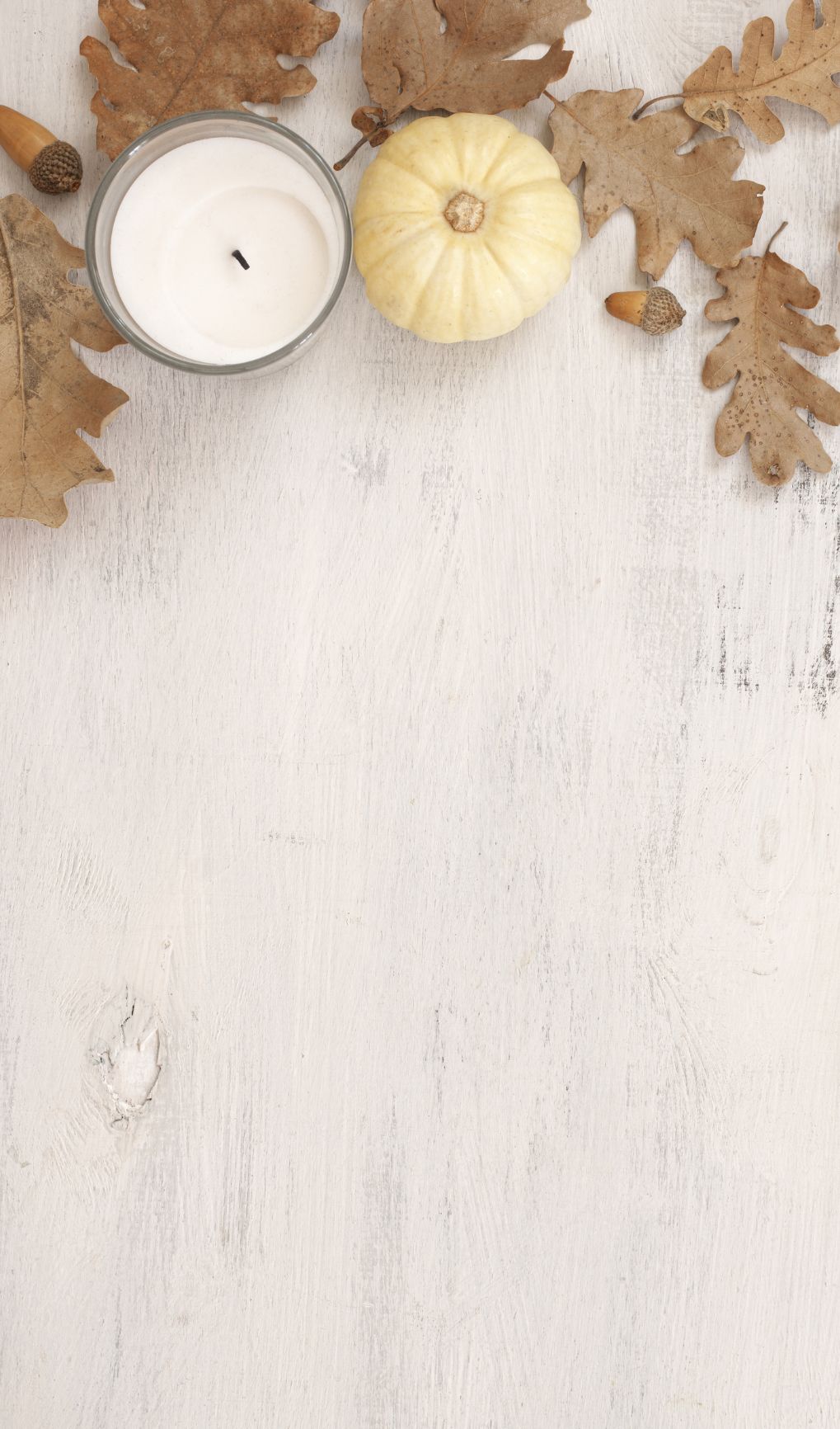 Thanksgiving Special - FEY Cosmetics - promo Action de Grâce